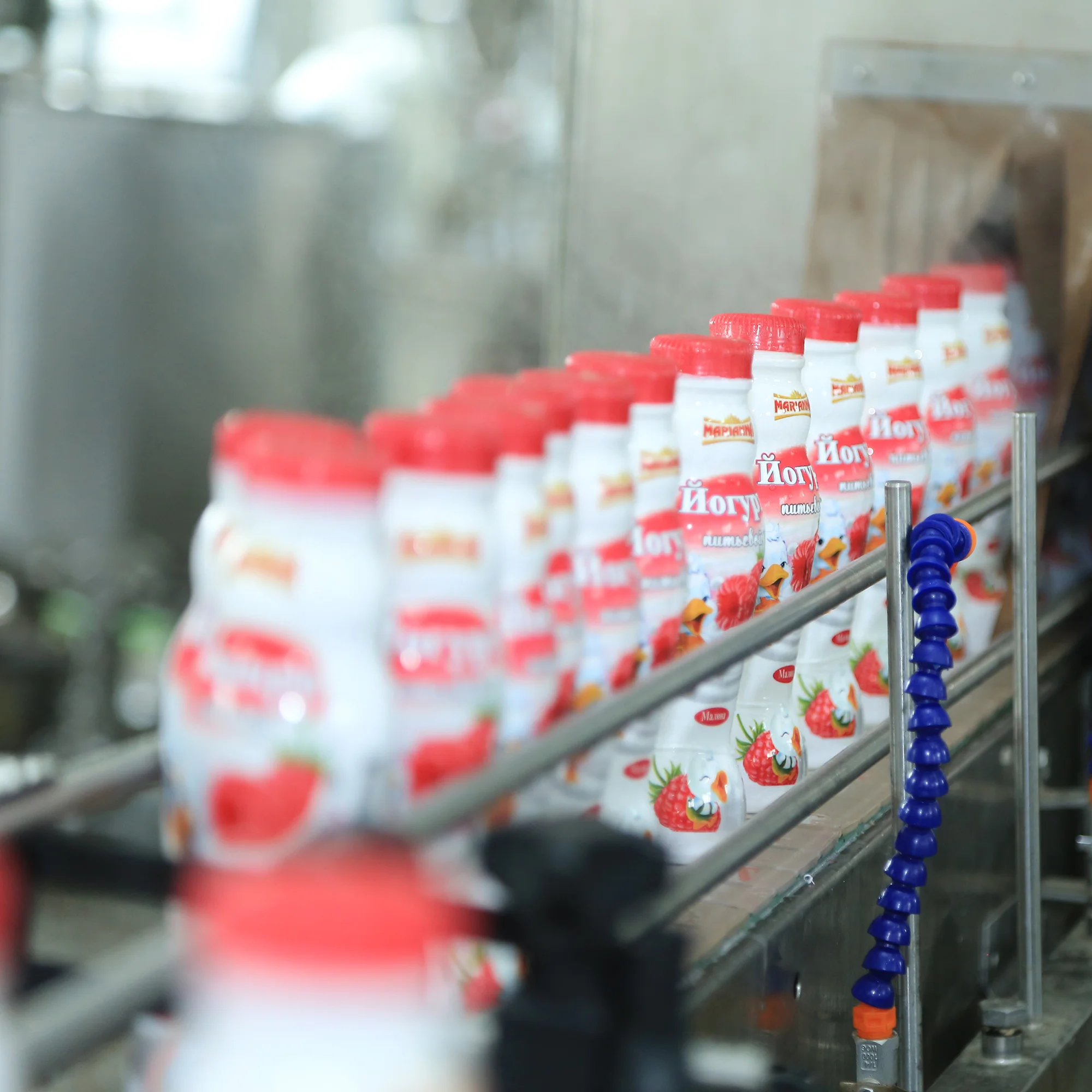 image qjq2fmybJS C86A3700copy